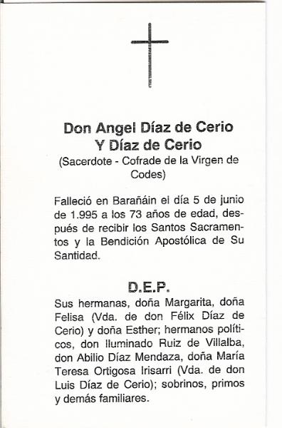 Angel Díaz de Cerio Díaz de Cerio