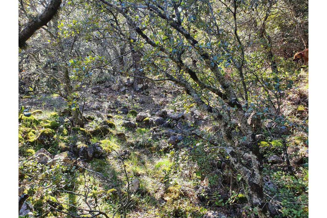 Restos Ermita de Santa Engracia Restos Ermita de Santa Engracia