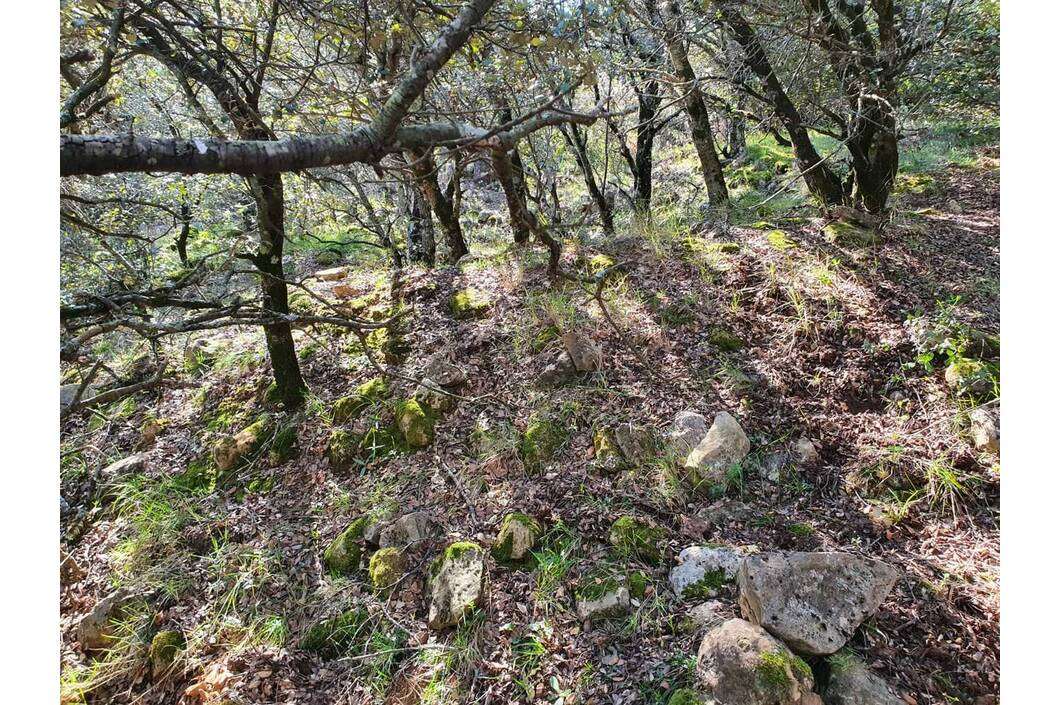 Restos Ermita de Santa Engracia Restos Ermita de Santa Engracia