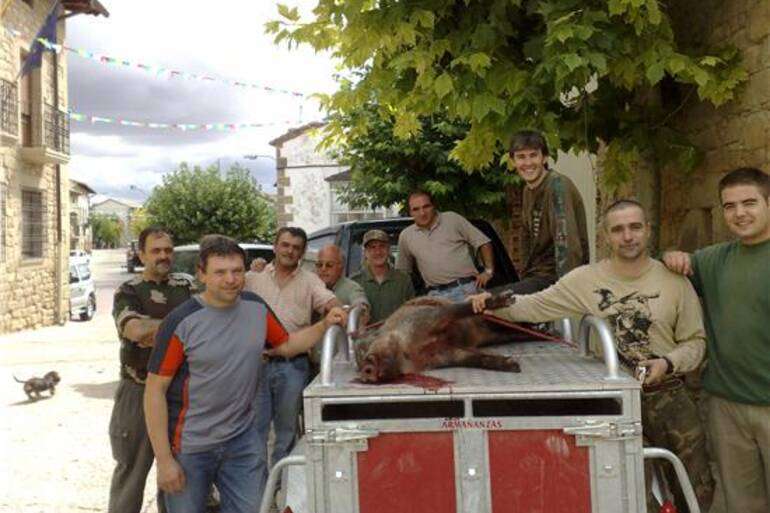 1er jabali de la temporada cazado en Armañanzas